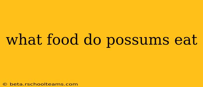 what food do possums eat