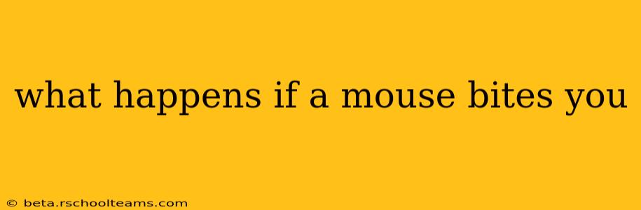 what happens if a mouse bites you
