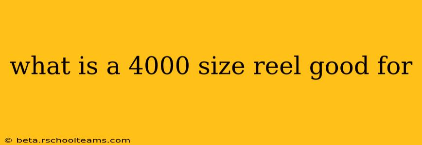what is a 4000 size reel good for