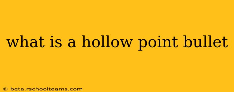 what is a hollow point bullet