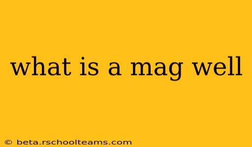 what is a mag well