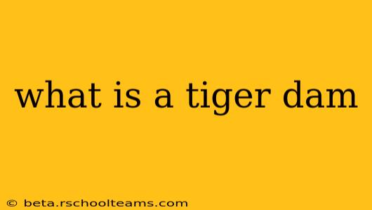 what is a tiger dam