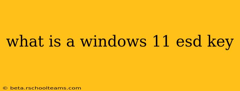 what is a windows 11 esd key
