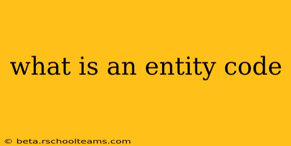 what is an entity code