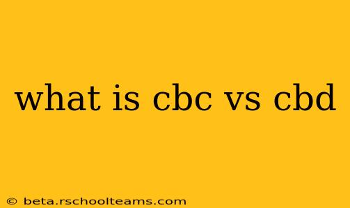 what is cbc vs cbd