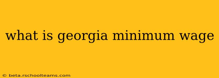 what is georgia minimum wage