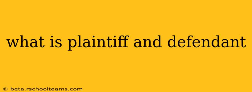 what is plaintiff and defendant