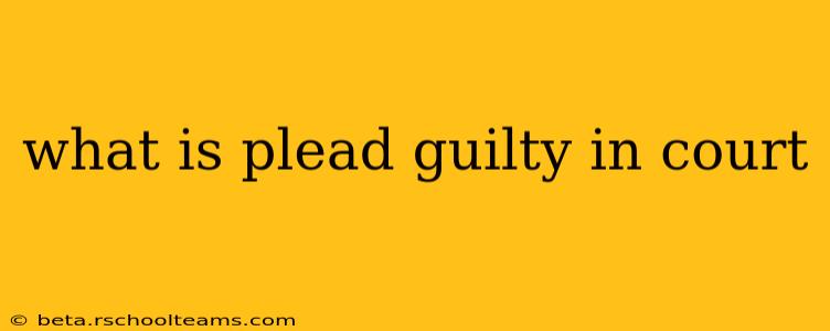 what is plead guilty in court