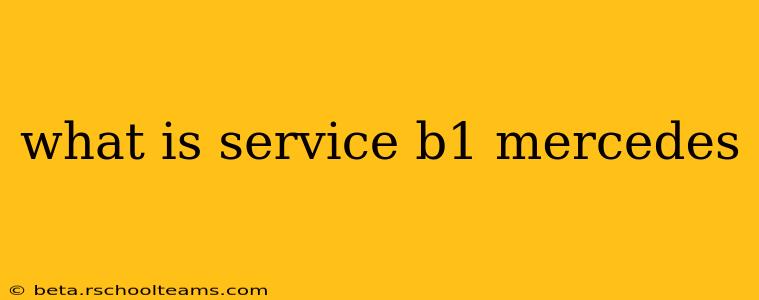 what is service b1 mercedes