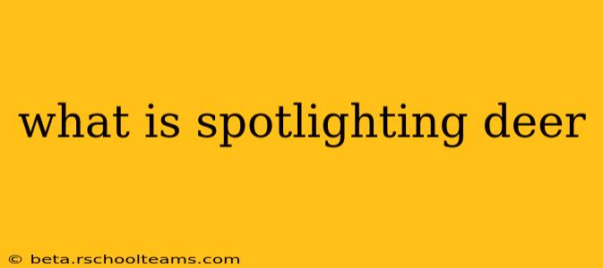 what is spotlighting deer