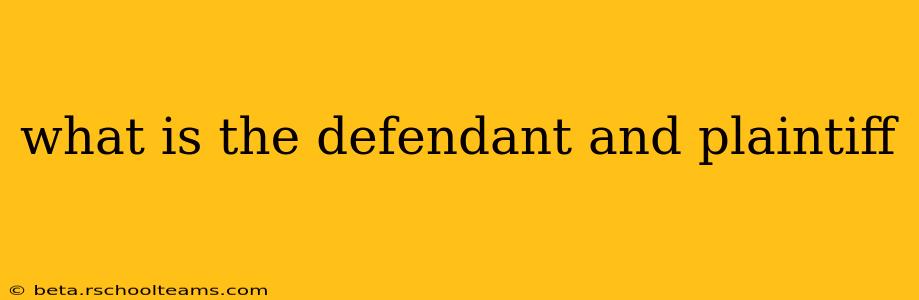 what is the defendant and plaintiff