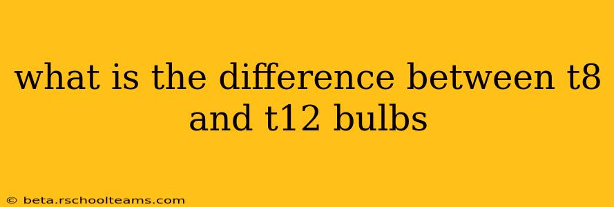 what is the difference between t8 and t12 bulbs