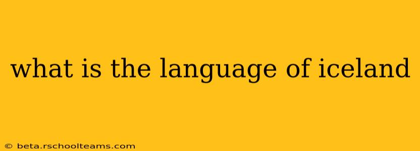 what is the language of iceland