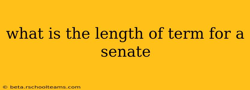 what is the length of term for a senate