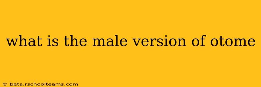 what is the male version of otome