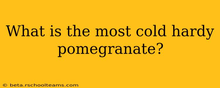 What is the most cold hardy pomegranate?