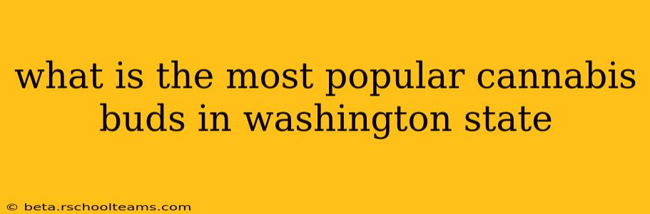 what is the most popular cannabis buds in washington state