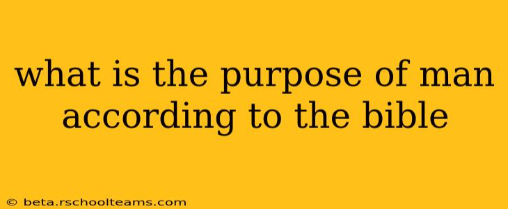 what is the purpose of man according to the bible