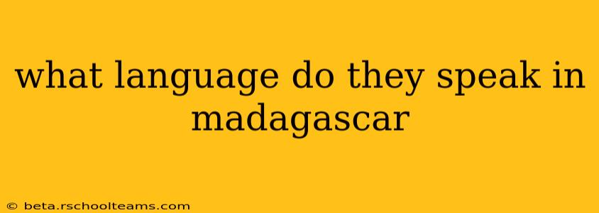what language do they speak in madagascar