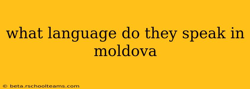 what language do they speak in moldova