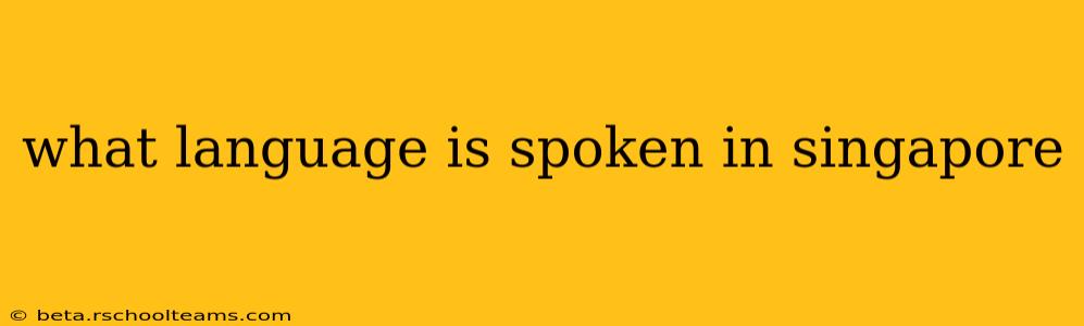 what language is spoken in singapore