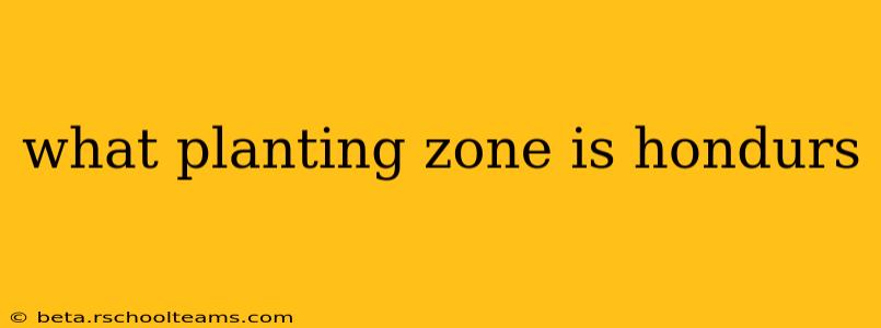 what planting zone is hondurs