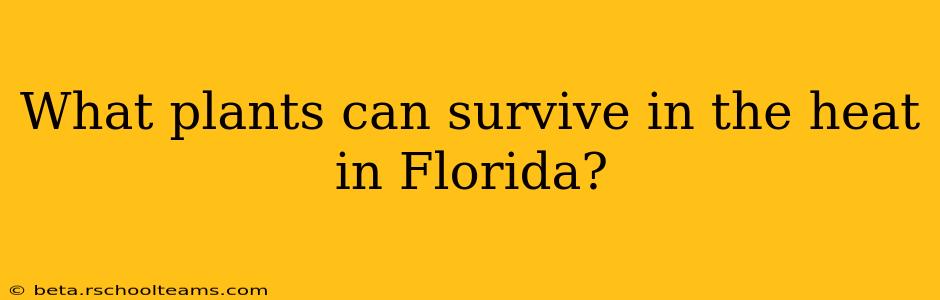 What plants can survive in the heat in Florida?