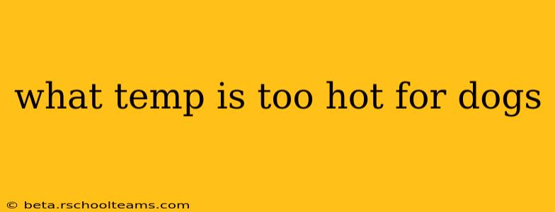 what temp is too hot for dogs