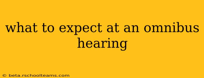 what to expect at an omnibus hearing