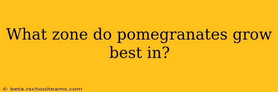 What zone do pomegranates grow best in?