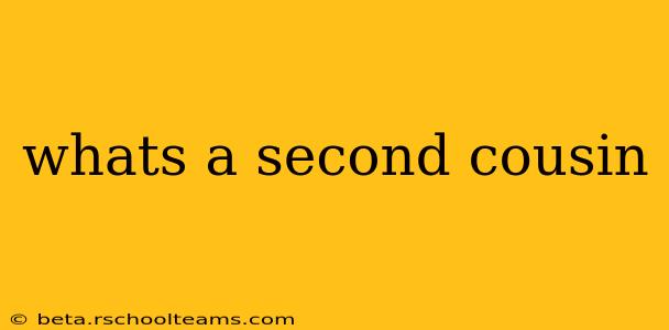 whats a second cousin