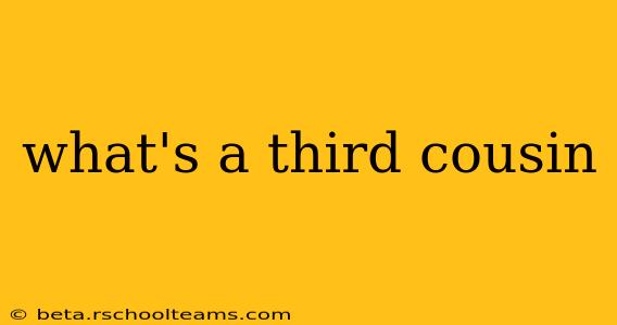 what's a third cousin