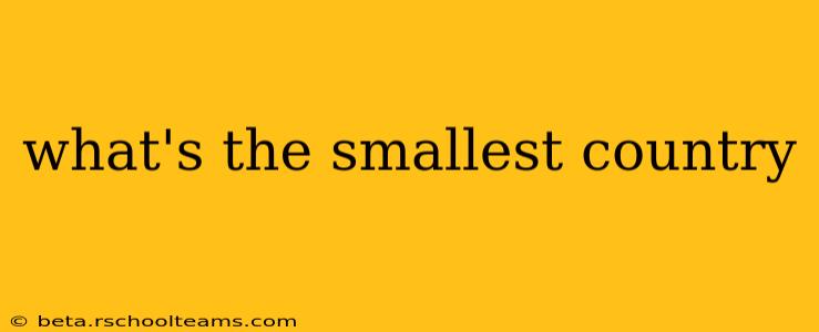 what's the smallest country