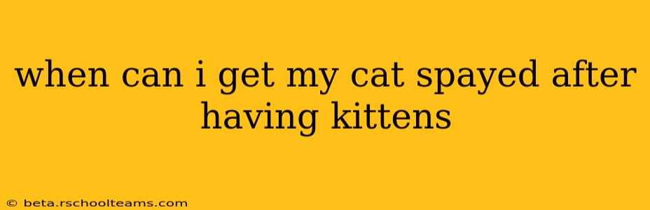 when can i get my cat spayed after having kittens