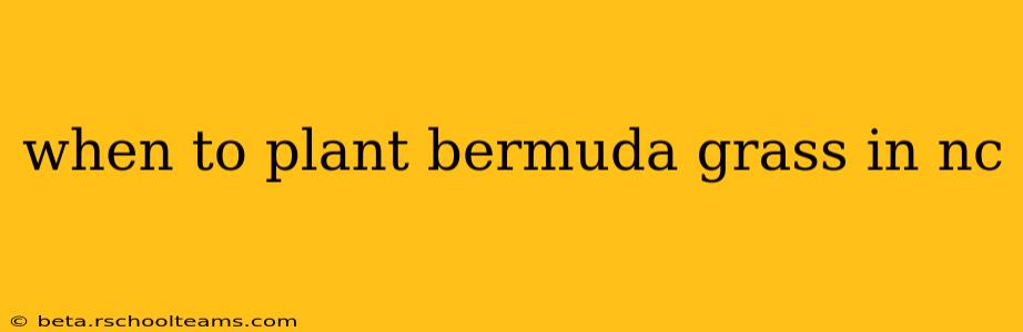 when to plant bermuda grass in nc