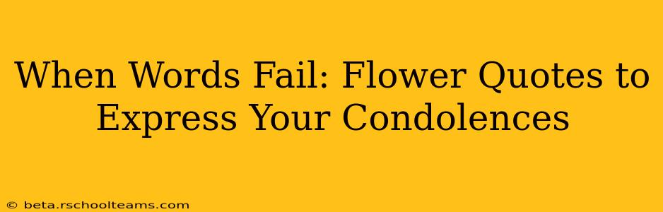 When Words Fail: Flower Quotes to Express Your Condolences