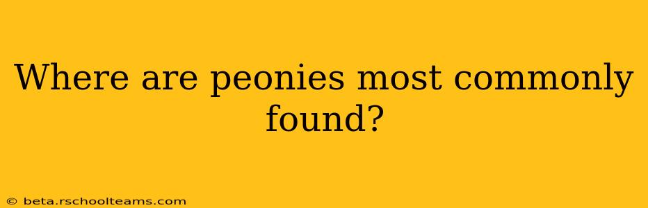 Where are peonies most commonly found?