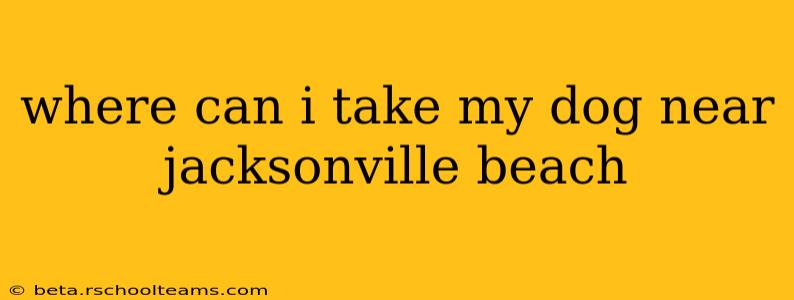 where can i take my dog near jacksonville beach