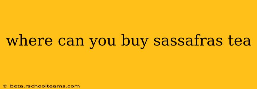 where can you buy sassafras tea