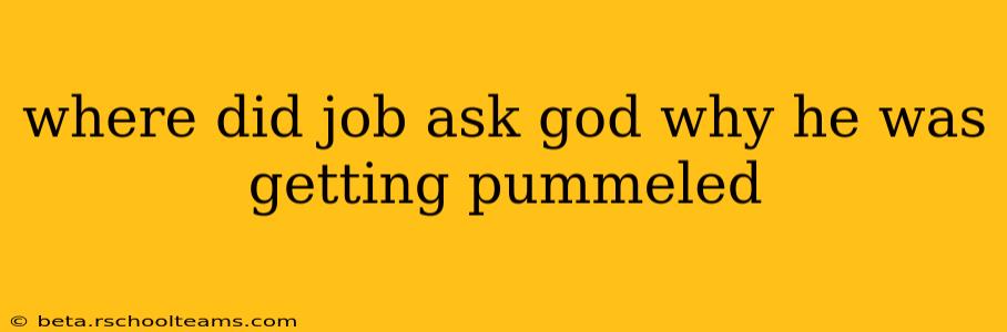 where did job ask god why he was getting pummeled