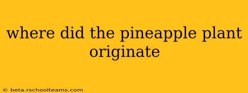where did the pineapple plant originate