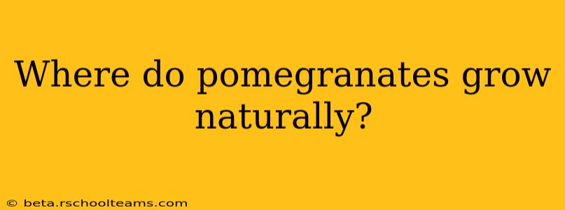 Where do pomegranates grow naturally?