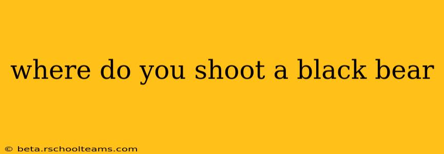 where do you shoot a black bear