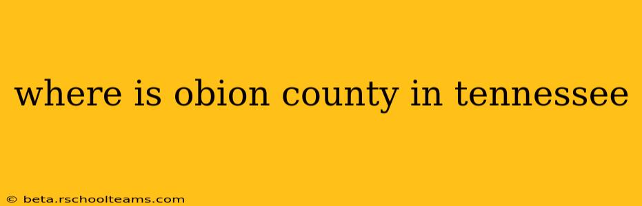 where is obion county in tennessee