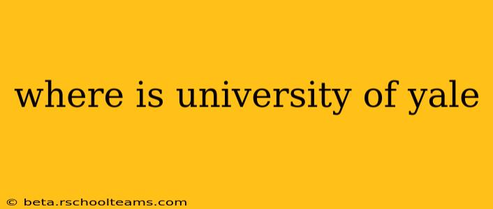 where is university of yale