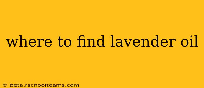 where to find lavender oil