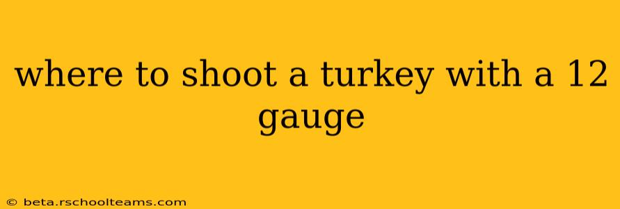 where to shoot a turkey with a 12 gauge