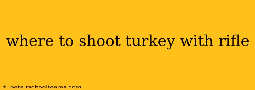 where to shoot turkey with rifle