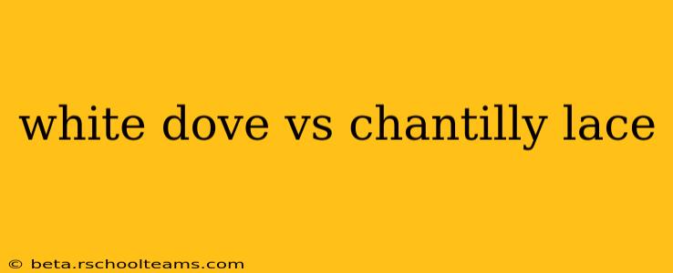 white dove vs chantilly lace
