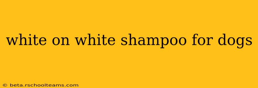 white on white shampoo for dogs